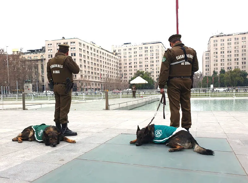 Par de carabineros junto a sus compañeros perros descansando al frente del Palacio de la Moneda. Foto de Andrea Hoare Madrid