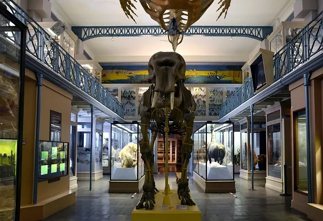 Sala dos Dinossauros Sala dos Dinossauros