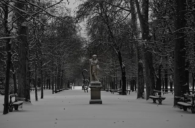 Jardin des Tuileries