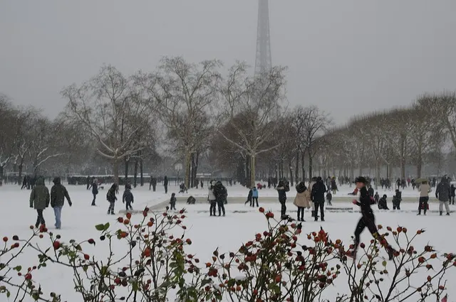 Campo de Marte no inverno campo-de-marte-inverno