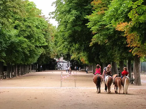 paseos-en-pony-paris