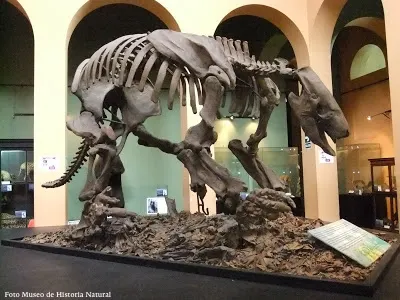 Foto historia natural cuerpo