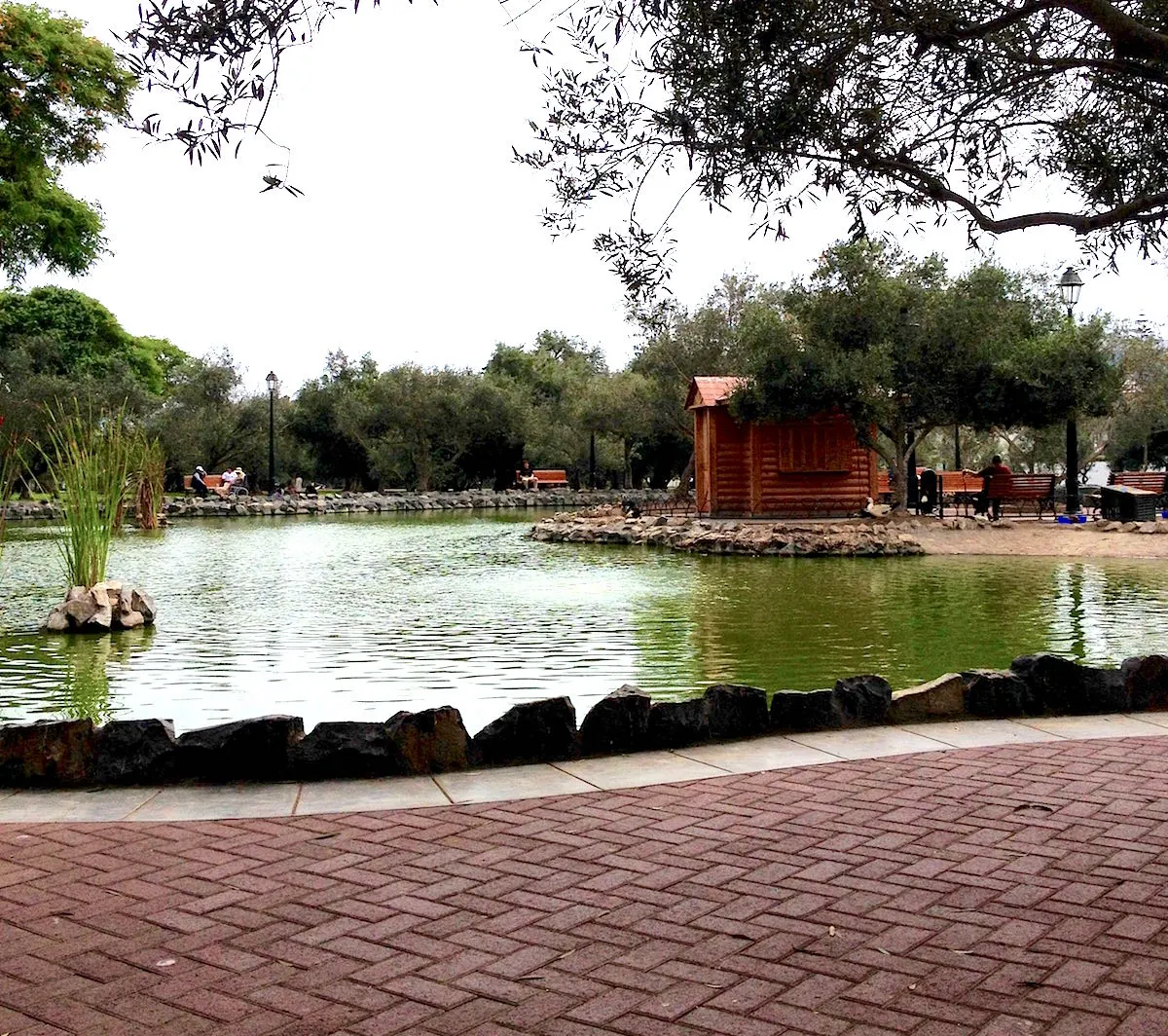 Laguna del Parque El Olivar en Lima