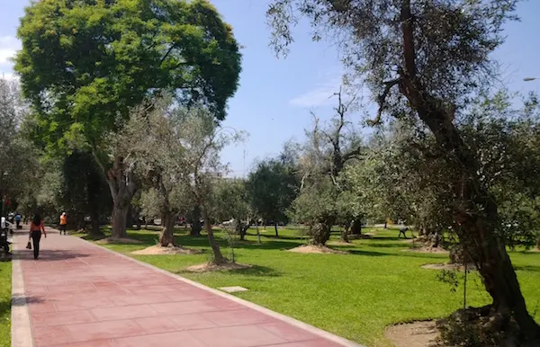 Camineria del Parque El Olivar en Lima