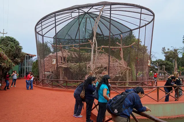Interior del parque de las leyendas Lima