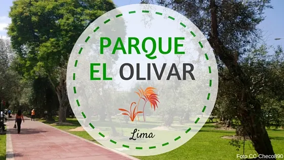 parque el olivar