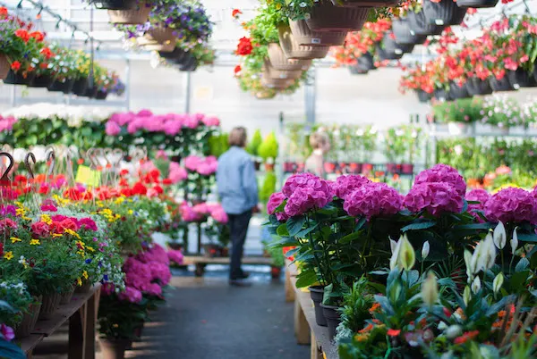 Flores en el mercado maissoneuve Marche Maisonneuve