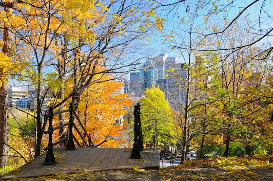 Vista Mont Royal