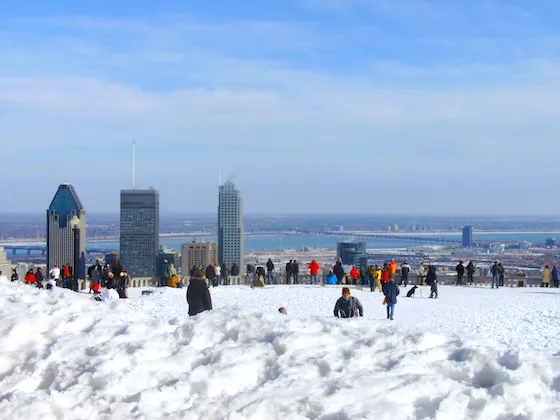 mont royal con nieve montreal Invierno en montreal