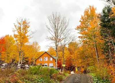 Colores de otoño