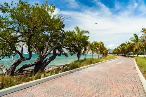 Camino en la playa