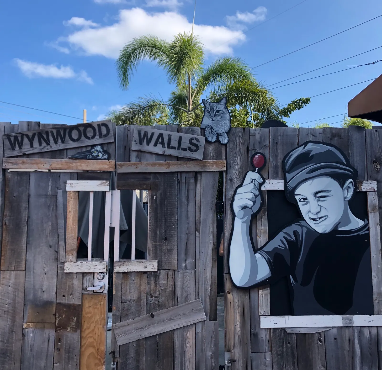 Paseo en wynwood